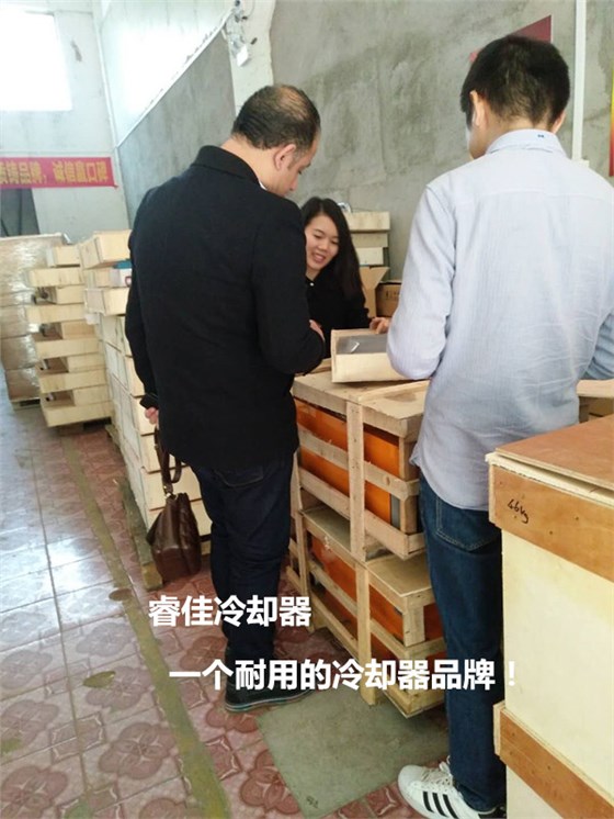 外國(guó)客戶(hù)到訪(fǎng)睿佳冷卻器
